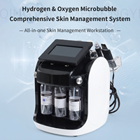 Appareil de nettoyage du visage à jet d'oxygène, exfoliant pour la peau, éliminateur de points noirs portable de haute qualité 6 en 1