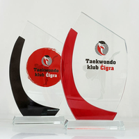 Personal isierte benutzer definierte rote schwarze Kurve Kristall Plaque Award Kristall Plakette