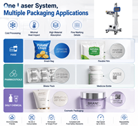 Codeur laser UV pour machines d'emballage de produits de soins personnels, codage permanent de la date, support d'intégration pour les fabricants de machines d'emballage