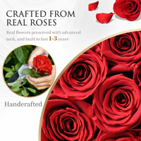 Roses éternelles préservées, boîte de fleurs de 27 pièces, forme ronde, 8,54 x 8,27 x 7,09 pouces, origine Chine, pour l'anniversaire ou l'anniversaire de mariage des femmes