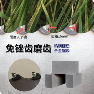 Hand Saw 74cm Total Length 56cm Blade 21cm Handle 5cm Width 16mm Tooth Pitch For Brick And Concrete Block Cutting - Product Image 4