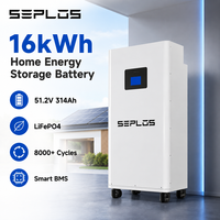 Batterie LiFePO4 Seplos Mason 51.2V 314Ah 16kWh pour stockage d'énergie domestique, stock UE, entrepôt Allemagne Pologne, livraison rapide, BMS 200A
