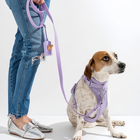 Arnés para Perro de Poliéster Suave de la Marca MK, Ajustable, Moderno e Impermeable, con Correa y Decoración de Cintas Coloridas, Venta al Por Mayor