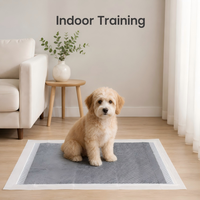 Tapis d'apprentissage pour chiens en charbon de bambou PE jetables, anti-odeur, écologiques, imperméables et anti-fuites, pour l'intérieur, directement de l'usine
