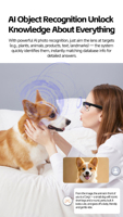 Lunettes Intelligentes IA avec Caméra 8MP, WiFi, Commande Vocale, Verres Photochromiques, Alimentées par ChatGPT, Anti-Tremblement, Lunettes de Soleil Prism Pro, Étanche IP66