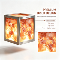 Lampe en cube de sel de l'Himalaya sur mesure avec cristal de roche rose naturel et cadre en acier inoxydable pour la décoration de chambre et de spa