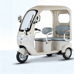 Tricycle électrique pas cher, usine chinoise, prix <span class=keywords><strong>bas</strong></span>, vente directe, moteur 800w, tricycle familial de haute qualité pouvant accueillir 3 personnes - Product Image 1