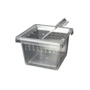 NOMOY PET al por mayor transparente PP reptil jaula araña caja insecto caja reptil tarántula recinto cría caja - Product Image 1