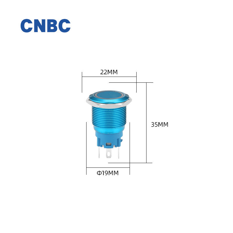 Customized 19mm 5A IP67 Waterproof LED Housing Push Button Switch SPDT 1NO1NC 220V Green Oxidation Black 1NC & 2NO Combination