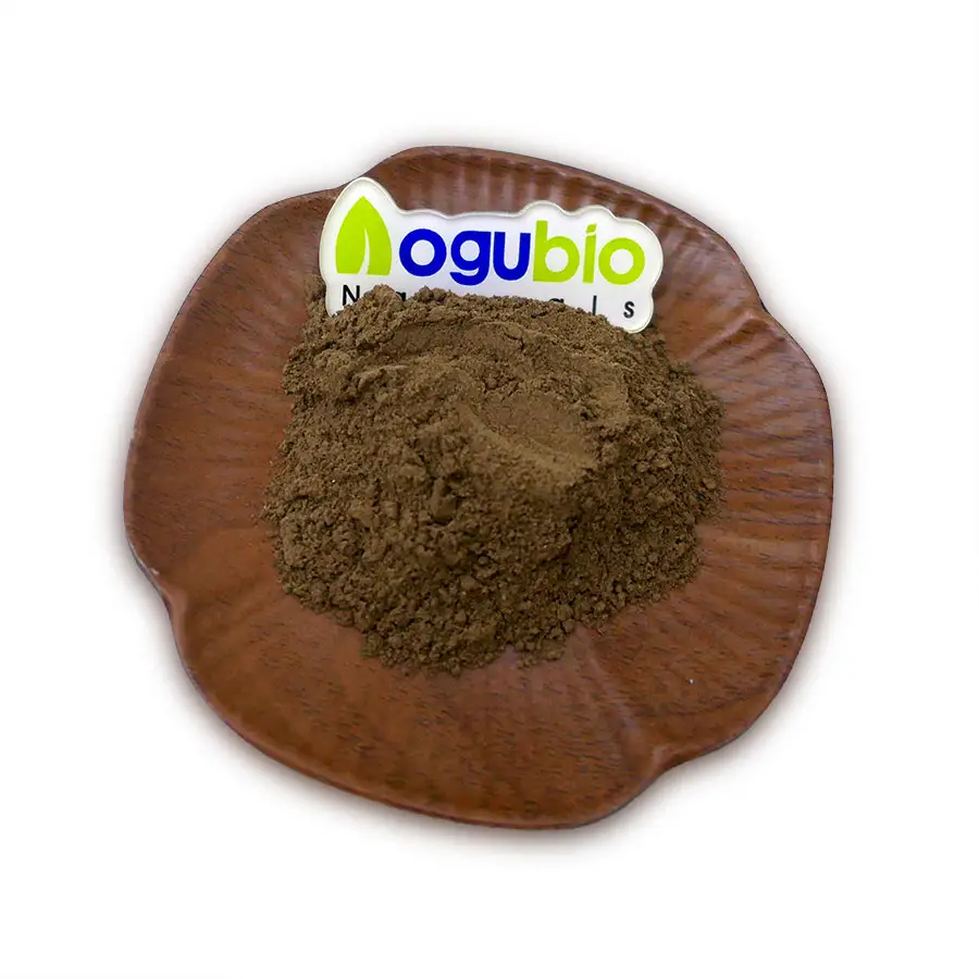 Etiqueta privada OEM Cordyceps Cola de pavo Chaga Lions Mane Reishi Setas instantáneas Café en polvo