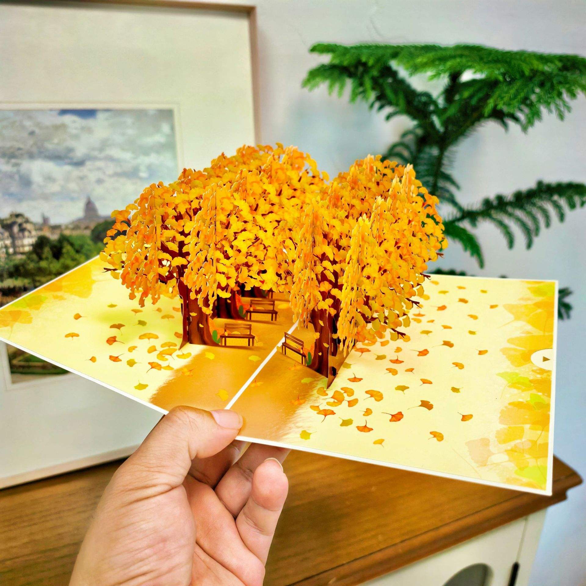 Ginkgo jardín completo