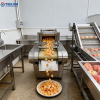 Automatische groentesnijder, mini groentesnijder, grote groentesnijder, fruit snijmachine voor landbouwbedrijven en fruitverwerkingsfabrieken