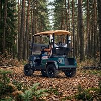 Voitures de golf professionnelles 2 places, voiture de golf électrique personnalisée, buggy de golf tout-terrain, pneus résistants à l'usure pour les activités de plein air