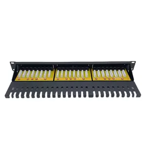 Markdown Sale 19 "1U 24 ports cat6a non blindé double IDC, panneau de brassage de poinçonnage réseau noir pour centre de données