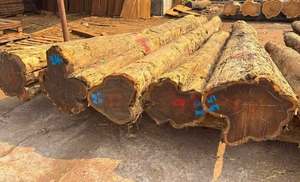African Azobe Wood Export Grade Hardwood 4m X 60cm Diameter for High End Furniture Flooring and Interior Decoration - Product Image 5