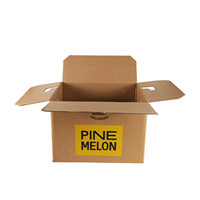 Caja de Cartón Corrugado de Doble Pared para Envío y Entrega, Resistente, Personalizada, Vacía, de 3 y 5 Capas, Tipo RSC