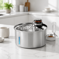 Fontaine à eau intelligente pour animaux domestiques, en acier inoxydable 304, étanche, à circulation continue, pour chats et petits chiens