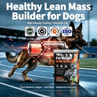 Vente en gros de produits pour chiens : BCAA, Glucosamine, L-Carnitine pour l'amélioration musculaire, la récupération, la nutrition, la performance des chiens de course et de travail K9, OEM