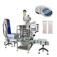 Machine d'emballage automatique CE 6 voies pour sachets de snus 0,4g 0,7g 0,8g, ligne complète pour tabac et poudre de nicotine en tissu non tissé