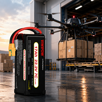 Baterai Drone LiPo Kapasitas Besar Kelas Industri 17Ah 22.2V untuk Sel Daya Isi Ulang Baterai LiPo Drone Pengiriman Logistik