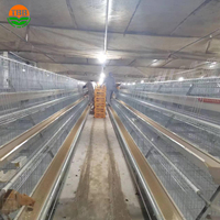 Prix des cages pour poulets et volailles à 4 niveaux de capacité de 128