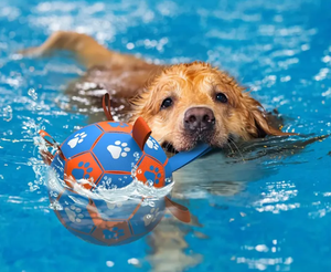 Bola Sepak Bola anjing memakai perban untuk anjing sedang dan besar bola mainan anjing tahan lama tahan gigitan mainan anjing - Product Image 4