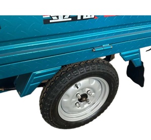 Long-<b>Range</b> Tricycle with Open Body High Payload (200-300kg) & 1000W Power for Adults - Product Image 5