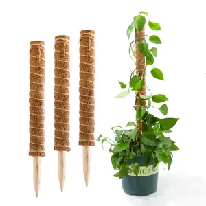 Clear Artificial Tomato Growing Stakes Pack Reusable Coir Totem Coco Sticks Potted Plants Extendable Supporting Trekking Moss Po