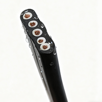 2,5mm 4mm 6mm 3-Adrig 4-Adrig Kupfer Flexibles Gummi-Mantelkabel IP54 Wasserdichtes Flachkabel für Tauchpumpen 4x10mm 4x16mm Mobil