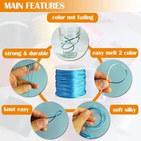 Cordón de Nylon Satinado Multicolor de 1.5m, 2mm, 80m, para Abalorios, Kumihimo, Macramé, Bolsos, Prendas y Manualidades de Calzado