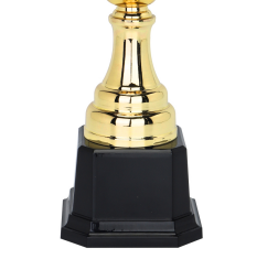 Médaille du trophée du sport en métal doré de grande taille pour la coupe du monde - Product Image 2