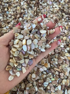 Groothandel in gebroken zeeschelpen, nagelknippers, kleurrijke Tamsui rivierparelschelpen, nageldecoraties - Product Image 6