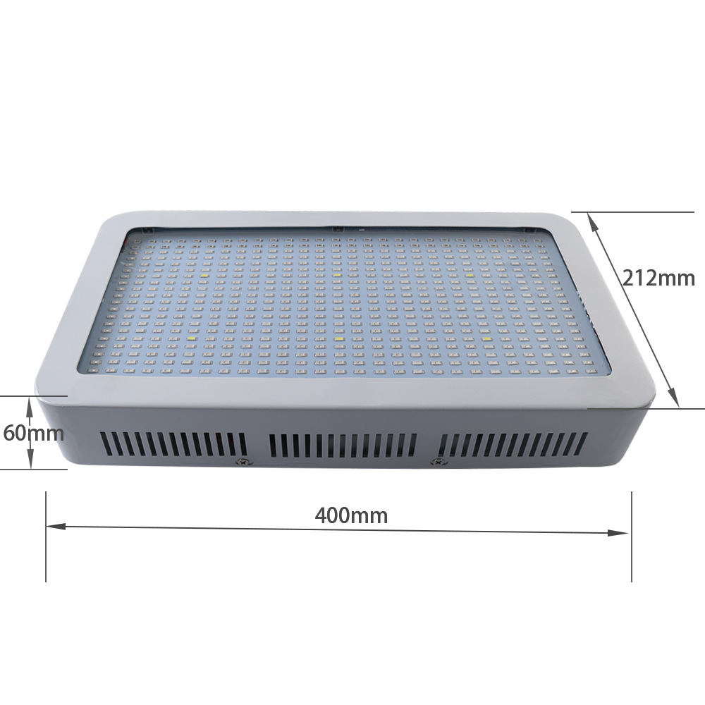 carnivorous plants seed