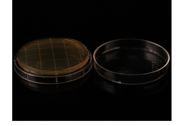 culture medium to use directly certified