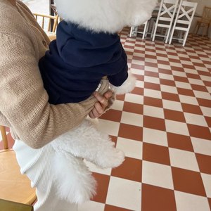 Sudadera con Capucha de Forro Polar para Otoño/Invierno para Perros Teddy, Pomeranian, Bichón Frisé, Schnauzer, Gatos y Perros Pequeños - Product Image 4
