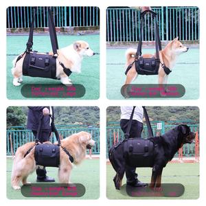 Harnais de levage pour chien, support pour animaux de compagnie, élingue de rééducation, sangles rembourrées respirantes pour les chiens âgés, handicapés, blessés aux articulations, arthrite, promenade - Product Image 3