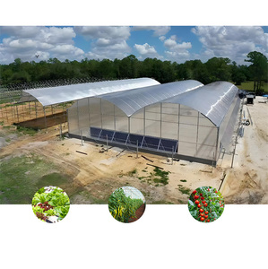 Phổ biến Thương mại nông nghiệp Polycarbonate nhà kính thép lớn thiết kế ổn định cây trồng rau dưa chuột Cà tím Thảo Mộc Xanh - Product Image 2