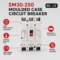 대량 구매 가능 18kA 30kA AC MCCB 150-175A 3P OEM CE 인증 라틴 아메리카 음료 공장용