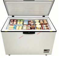 Congélateur coffre grande capacité 100L 150L 200L 246L – Plusieurs options au choix