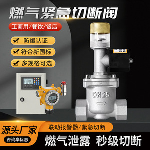 Vanne d'arrêt électromagnétique pour gaz DN50, raccord fileté pour pipeline de gaz naturel, utilisation extérieure avec réinitialisation manuelle - Product Image 5