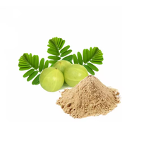 Extrait d'Amla en poudre naturelle de qualité supérieure, riche en vitamine C, pour le bien-être et la vente en gros
