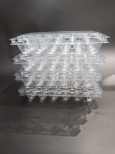 Contenitore per uova a conchiglia personalizzato, - Product Image 2