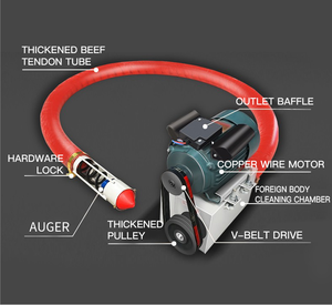 LIANGZO OEM ODM Yüksek Kaliteli Kauçuk Pnömatik Konveyör Pirinç Kabuğu Taşıma Yağa Dayanıklı Ayarlanabilir Hız Restoran Kullanımı - Product Image 6