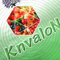 Lege 25Kg Custom Ontwerp Fruit Meststof Verpakkingszak