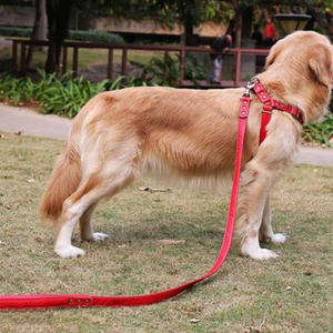 Conjunto de arnés y correa de cuero para perros Chaleco de arnés de hombro con cuello mediano y grande - Product Image 2