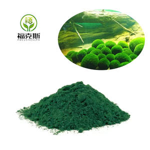 Poudre de nannochloropsis de phytoplancton marin de qualité alimentaire Poudre de nannochloropsis de bonne qualité - Product Image 2