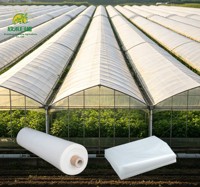 Film de serre 250/200 microns pour pépinière, couverture plastique transparente anti-buée pour favoriser la croissance saine des plantes