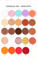 Palette de maquillage personnalisée DIY, haute pigmentation, blush vegan, illuminateur, contour, palette de cosmétiques longue tenue