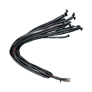 Chất lượng cao OEM/bán buôn dây nịt dây điện cho ô tô/cáp/Kết nối/điện/Tự động/xe/y tế/ánh sáng/Radio/âm thanh - Product Image 1