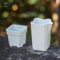 Pot de fleurs en plastique semi-transparent épaissi pour plantes succulentes, design minimaliste, robuste et durable